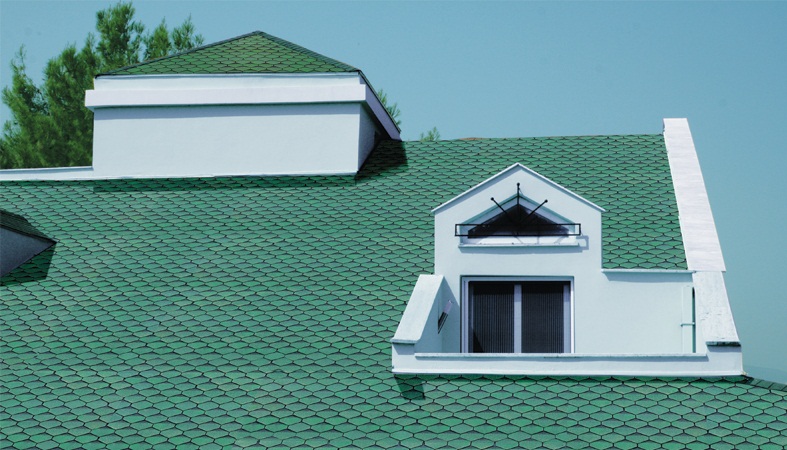 Konak profesyonel Şed Çatı – Shingle cati örneği